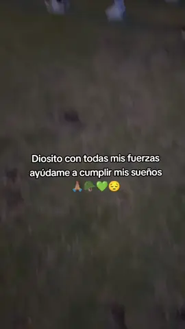 #fypシ゚viral #ambato #2026 #preparación #ejercito 