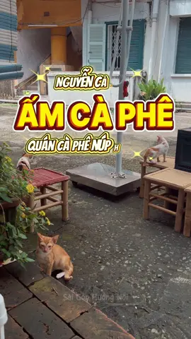 Quán cà phê núp hẻm cực chill - Ấm Cà Phê #saigonhuongnoi #amcaphe #caphe #matcha #quan1 