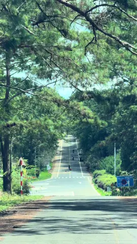 Măng Đen nắng lên rồi mn ơi🥰🥰#reviewmangden #dulich #fly #mangden #chill 