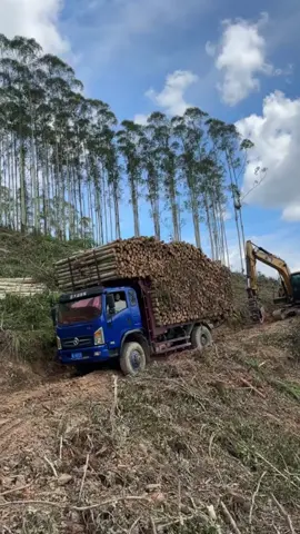 #chinesetruck 