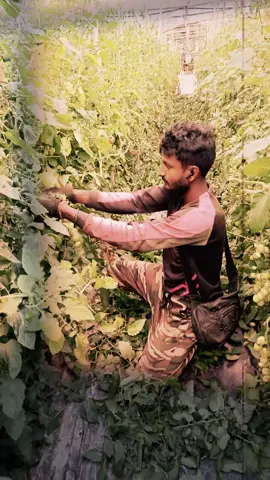 #foryoupage #viralvideo #বগুড়ার_ছ্যোল #সাপোট_করলে_সাপোট_পাবেন💯🌹🌹🌹💕💕👍 
