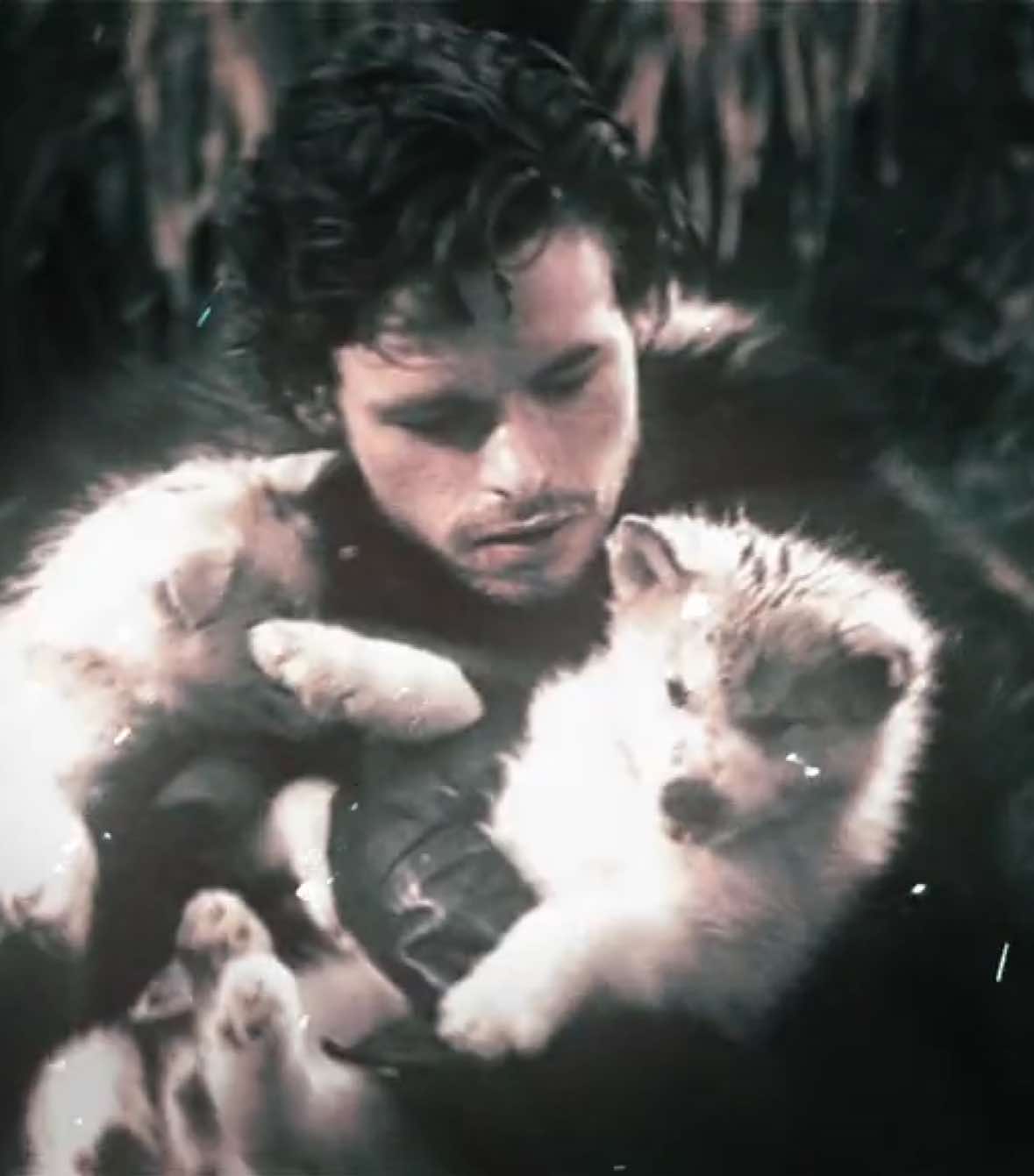 #robbstark #robbstarkedit #asoiaf #gameofthronesedit #foryoupage  art creds vintrage, etcetera