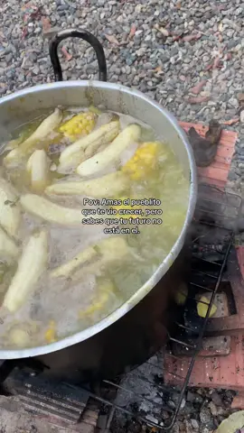 #LIVEIncentiveProgram #MakefriendsLIVE #PaidPartnership #CAMPO #PUEBLO DEL ALMA 