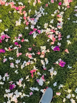 jubail industrial city 🥰  Royal commission ❤️‍🩹🇸🇦 ##foryou##foryoupage##fypシ##trending##creatorsearchinsights@@TikTok@@TikTok Bangladesh@@tiktoklive_us