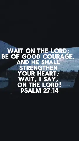 Psalm 26:14 #dailybibleverse #christiantiktok #jesusiscoming #godisgood #brandonlake 