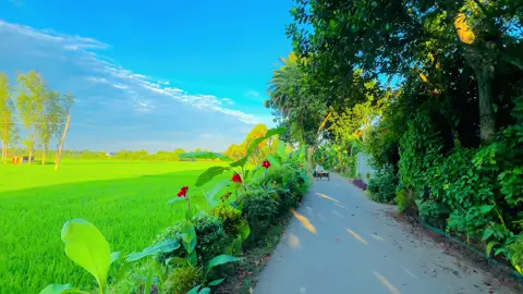 Sesh Kanna with ME |Use headphones for better sound quality I kmon hoiyace Video tahh? #sinamtic #cinematic #cinematic_video #vairal_video #fyp #song #sesh_kanna #foryou #sesh_kanna#sinamtic #cinematic #sinamtic 