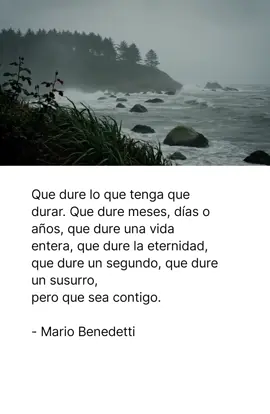 Los poemas de Mario serán frente al Mar✨ #poesia #amor #poemas #mariobenedetti #itmotiva  poemas de amor de Mario Benedetti 