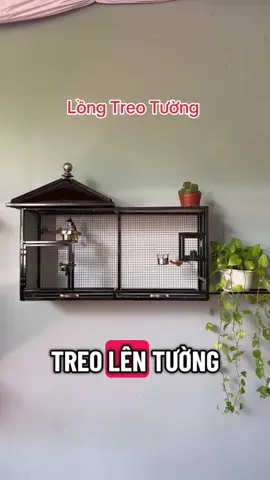 Mẫu Lồng Treo Tường, nuôi thả lực, sinh sản chim nhỏ #chaomao 