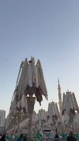 Wujudkan Impian Umroh Mandiri Anda Bersama Kami!   Paket Land Arrangement Hemat Mulai dari Rp 12.500.000/Pax (Minimal 10 Orang) 4 Hari Madinah 7 Hari Makkah FREE Ziarah Thaif   Mengapa Memilih Hallat Al Mashaer?   - Hemat dan Terjangkau: Kami menawarkan paket land arrangement dengan harga yang bersaing tanpa mengurangi kualitas pelayanan. - Praktis dan Mudah: Tidak perlu repot memikirkan akomodasi, transportasi, dan konsumsi. Cukup beli tiket pesawat, dan kami urus sisanya! - Fasilitas Lengkap: Kami menyediakan fasilitas yang memadai untuk kenyamanan ibadah Anda. - Terpercaya: Hallat Al Mashaer berpengalaman dalam melayani jamaah umroh mandiri.   Fasilitas yang Anda Dapatkan:   - Visa Umroh - Siskopatuh - Asuransi - Hotel Bintang 3  - Mekkah: Manarat Al Mask - Madinah: Manazil Az Zahra - Zamzam 5L - Fullboard (Makan 3x Sehari) - Transportasi Bus AC - City Tour - Muthowif (Pembimbing Ibadah) - Snack #umrahpromo #umrohmurah #umrah 