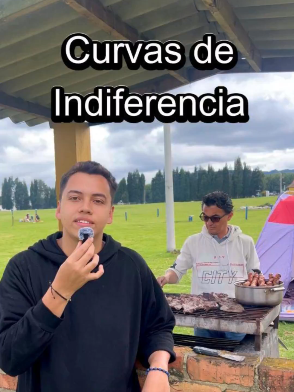 🔥 ¿Qué tienen en común un asado con carne, papa y chorizo con la economía? 🥩🥔 Descubre cómo funcionan las curvas de indiferencia, qué significa estar en, debajo o arriba de la curva, y aprende economía de una forma fácil (y deliciosa) con este ejemplo práctico.  #fyp #comida #economia #economida 