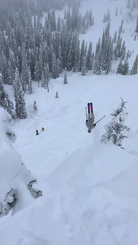 Favorite days #ski #fyp #viral #backflip 