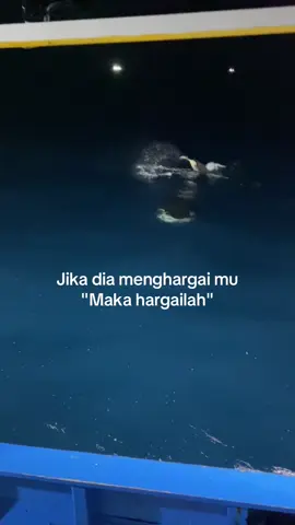 #ORCA predator terganas di dunia😬#kontenpelautmudah#fypppppppppppppppppppppppdooonnnngggggg 