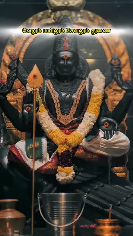 வேலும் மயிலும் சேவலும் துணை🩵