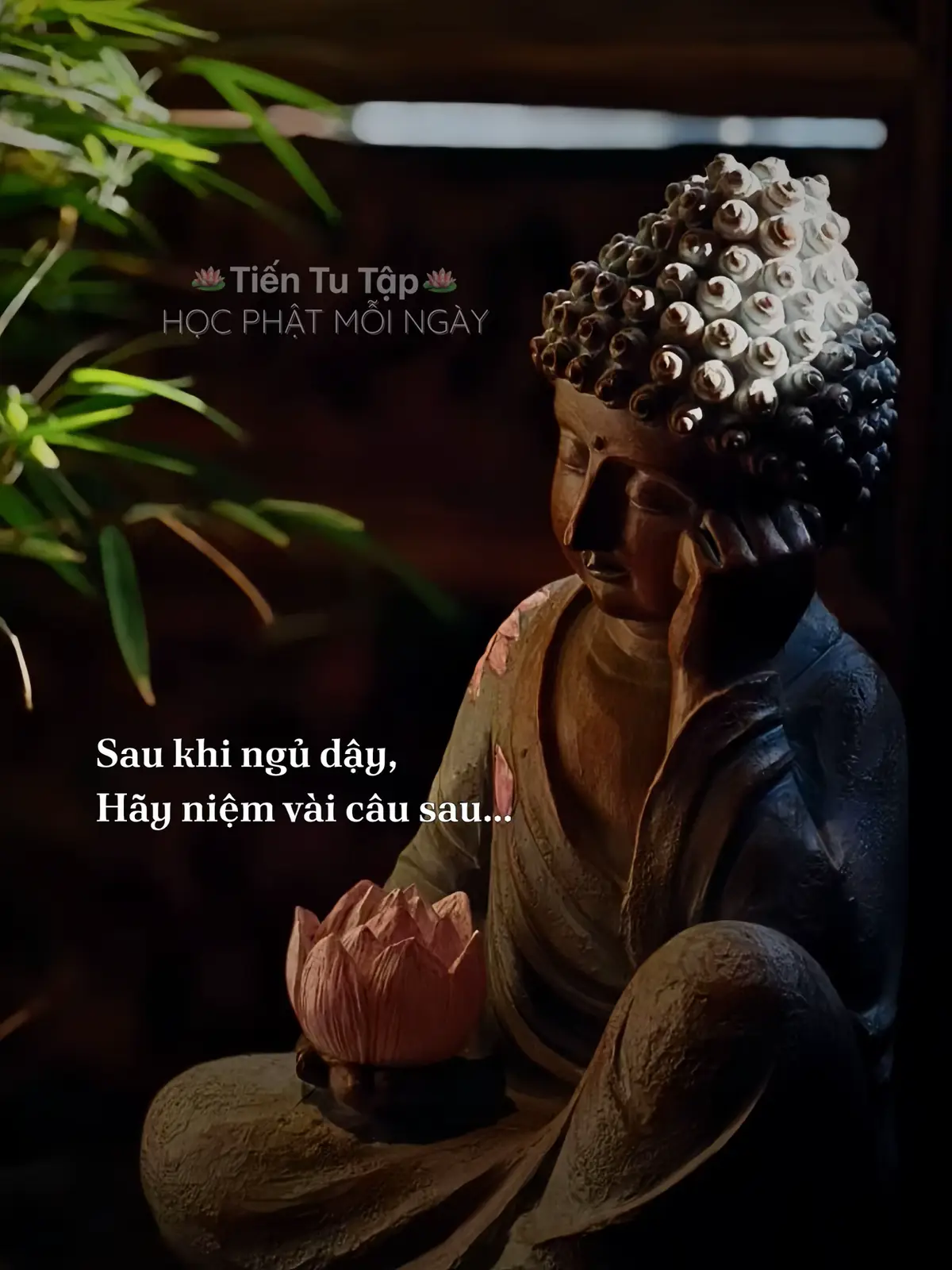 Sau khi ngủ dậy, hãy niệm vài câu.. #phatphap #phatphapnhiemmau #tientutap #phatphapvadoisong #hocphatmoingay 