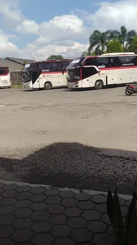 suasana pagi di pool primajasa