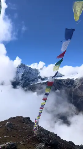 #fyp #related #lowkey77 #nature 