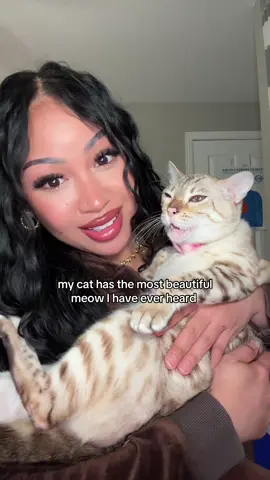 so soft and sweet😩 #catsoftiktok #cattok #catparents #catlover #bengalcat 
