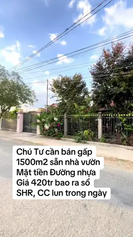 lh e Linh ở Tiểu sử nha #bds #datngop #datgiare #trending #viral 