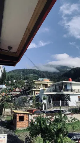 🦋🌲☁️🌷 