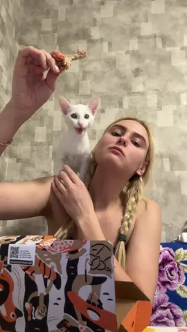 Ему нельзя такое, а так хотелось#рекомендации #рек #fyp #котики #ориентал 