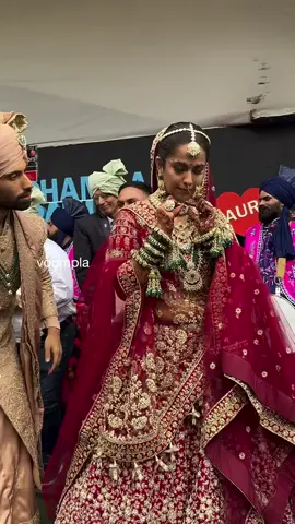 #avikagor 