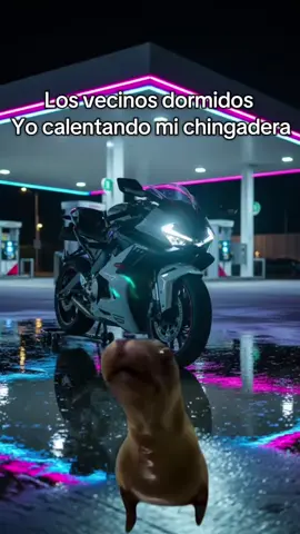 Yo a las 6 AM de Martes a Sábado 😆 #humor #vecinos #motos #deportivas #cfmoto675sr 