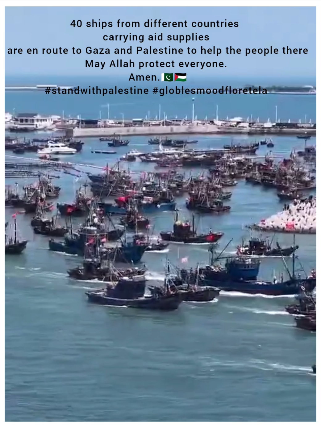 #standwithpalestine #palestine🇵🇸 #Allah  #globesmoodfloretela #allahuakbar 