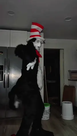 here kitty kitty #october #halloween #halloweencostume #catinthehatcostume #fyp 
