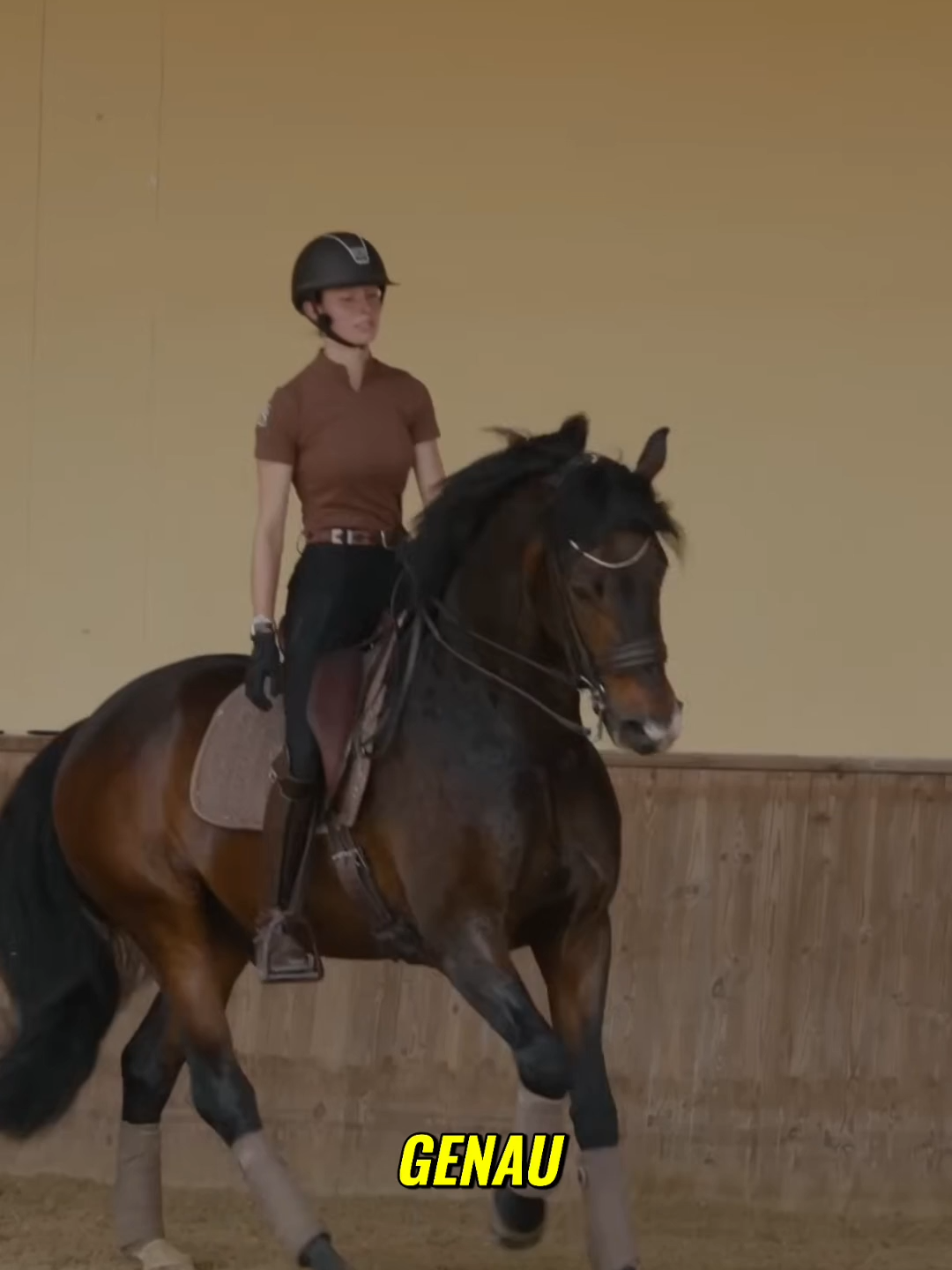 Piorette Perfektion_ Erlebe das Gefühl in beiden Händen! #Aubenhausen #HerziTraining #BenjaminWerndl #DressurLiebe #Aubenhausen