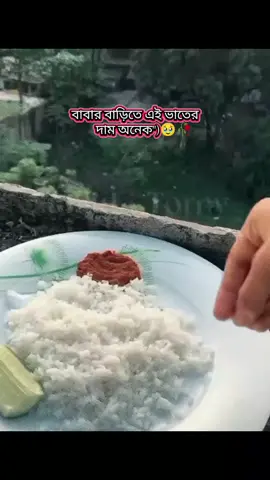 পরিবার কে চিনতে চাও তাহলে বিয়ের পর বাবার বাড়িতে থাকো😅🥀##viralvideo #plzviral🥺🥺🙏foryoupage🔥 