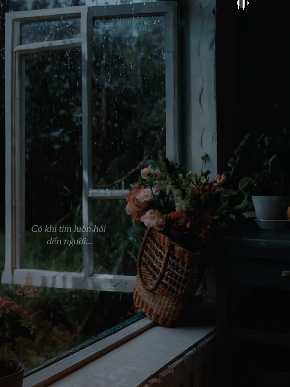 Ta đang tìm cách quên người.... #ConTimđangcoquen #phuongphuongthao  #nhactamtrang  #nhachaymoingay  #nhachoaloiviet 