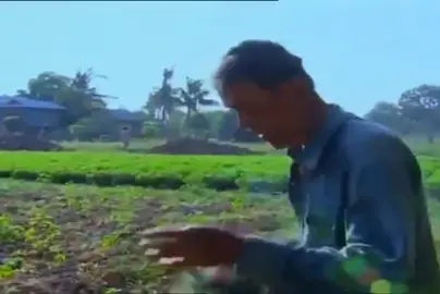 His majesty 🙏🏼👑#kingnorodomsihamoni #ព្រះមហាក្សត្រនៃព្រះរាជាណាចក្រកម្ពុជា 