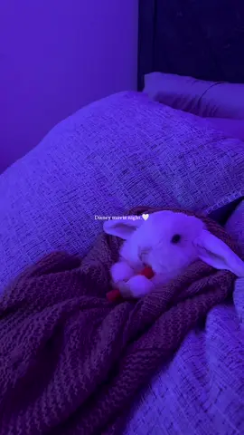 A magical night with me and my girl 🧚 #bunnytok #bunnymom #furbabylove #bunnylove #hollandlop 