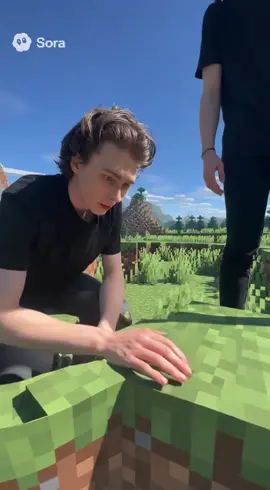I teleported into Minecraft #sora #sora2