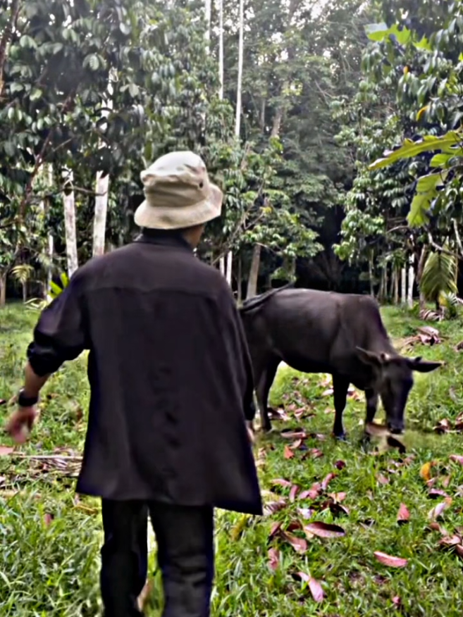 Moreeee? 😂🤣 #fyp #foryoupage #viral #funny #memes #alightmotion #edit #_alphakapogi #funnyvideos #memesdaily #trending #xyzbca #fypシ 