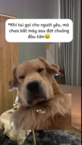 Hình ảnh tui mỗi khi gọi cho người yêu của tui😩#NaNyHomestay #homestaysaigon #ytuonghenho #viral #netflixandchill 