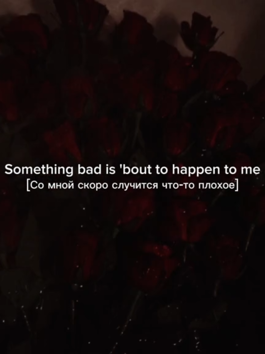 Dark Red - Steve Lacy |  . . . #darkred #stevelacy #song #lyricsvideo #lyrics_songs #fur #fup #on 