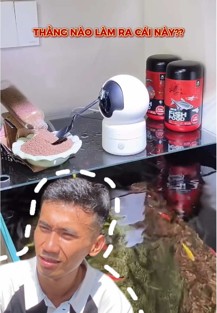 Ông nào nghĩ ra được camera có thể làm như thế này vậy ? 🤣 #ongchubiettuot #cameraanninh #camerawifi #cameratrongnha #docongnghe 