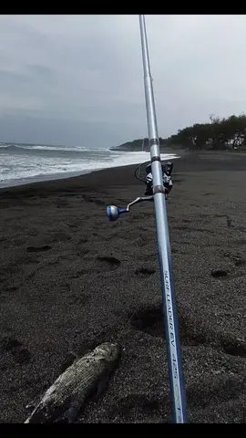 cair cair #jogjarockfishing #pasiranerbantul #surfleader #rockfishing #jogja24jam 