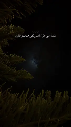 #CapCut #explore #foryou #fyp 