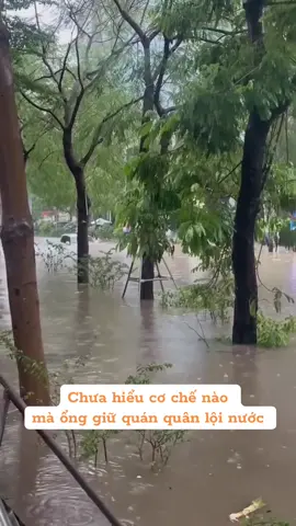 Land Cruiser - cỡ này chắc quán quân lội nước, tàu ngầm chống thuỷ kích #landcruiser #tintuc #cauchuyencuocsong #oto #2025 