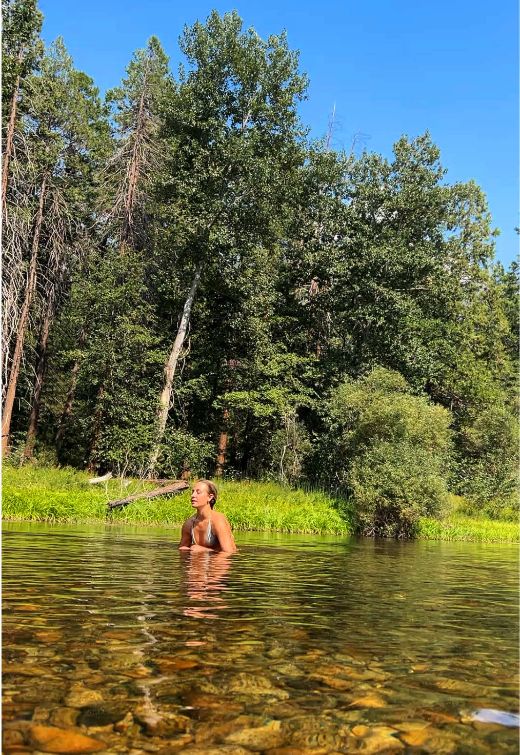 🏕️💛  • #nature #camping #yosemite #girlwhatever #explore 