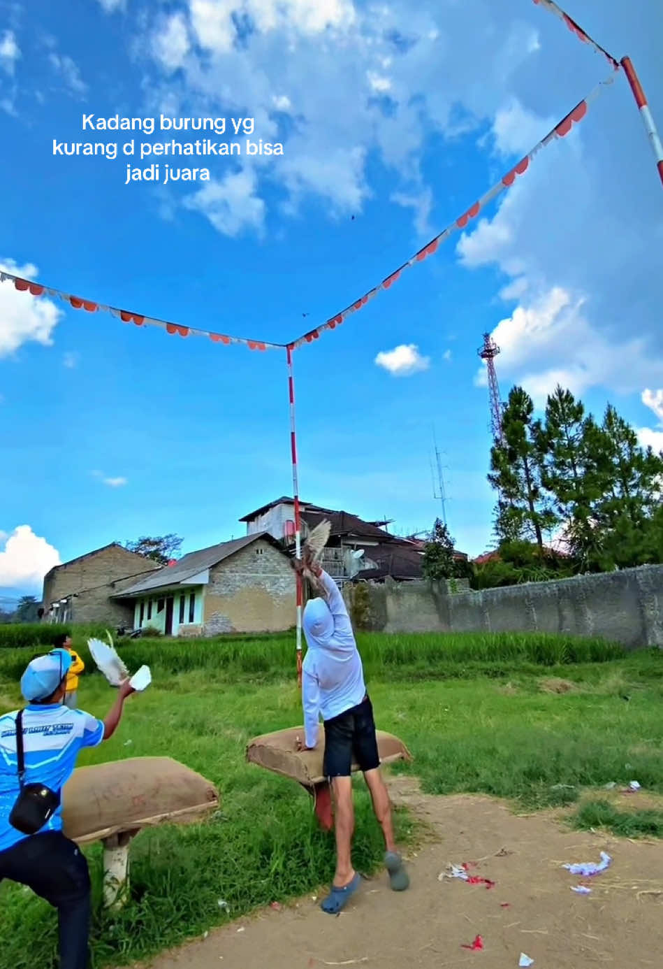 Keseruan lomba merpati d pasisihan 🤣  🥇  #merpati #merpati #merpatikolong #pmti #lombamerpat #fyppppppppppppppppppppppp #fyp 