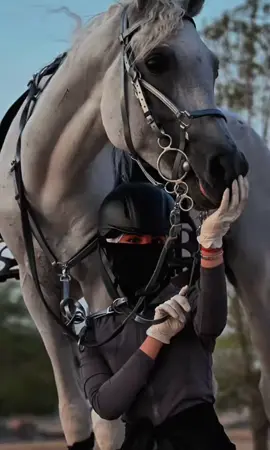 #خيل #وخياله#خيل_عربي_🤍🐎