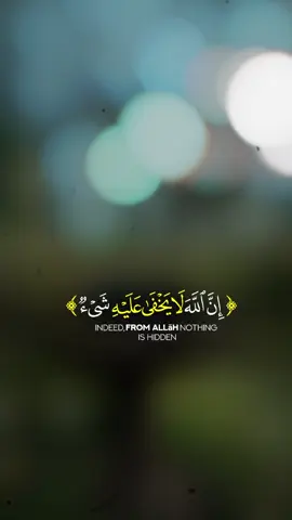 القرآن الكريم #beautifulquranrecitation #عامر_السعيدي #قوالب_دينية #صوت_جميل #viralvideo 