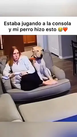 sincere feelings of dogs ❤️  #pet #cat #dog #cute #animals #foryou #typ