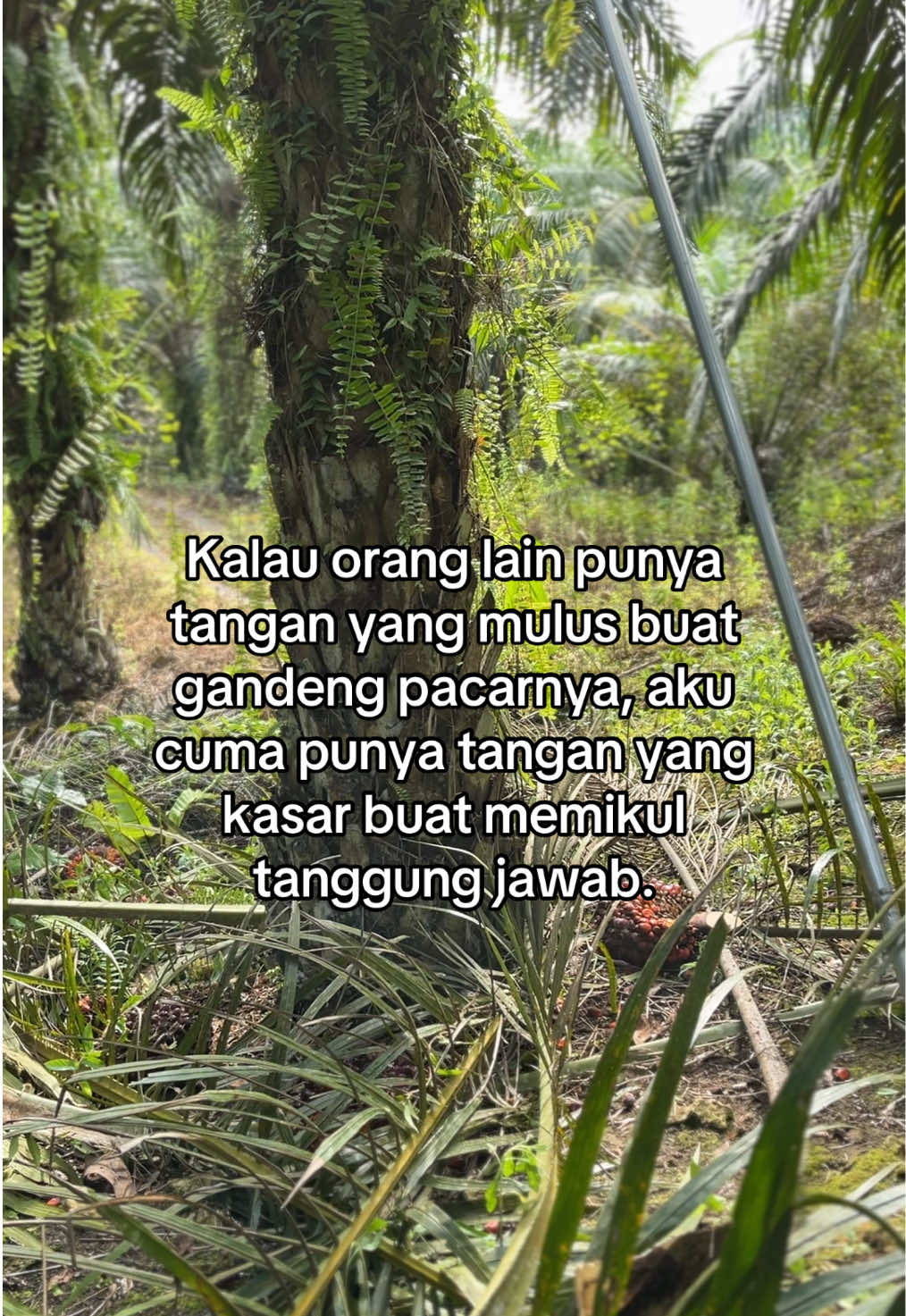 😂😂😂 #pemanensawit #kulisawit #sawitkalimantan #fypvideoviratiktok 