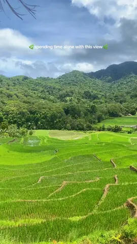 pemandangan kyk gini + mie kuah = best combo😜 #detusoko_ende_flores_ntt 