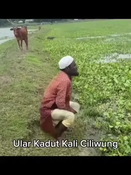 ular kadut😂 #NEXTJagoanMabar #MLBBNEXT2025 