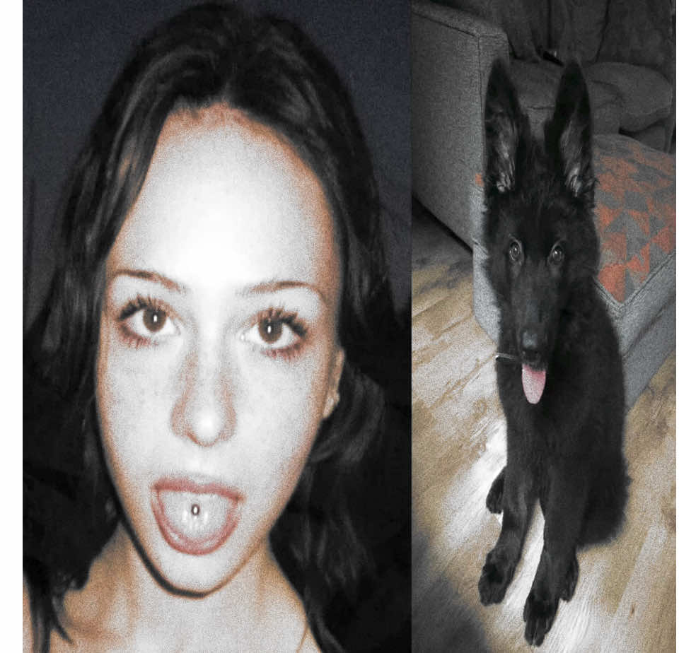 ─━╋  ݁ 𝕮urrentReality † ⛪️🦌 no one mazzy joyas like i do- they hate when you serve sad fawn, preachers daughter, southern, superhero fan, tumblr user, craves a man, a little bit of a freak   𐕣 ⨾    ◜ ib: me!! style ib like a mix of a lot of ppl and me  𓈒 𓈒 𓈒    𓆱 pulse blur butcherpiled cc me + sparkofires ⌖𓂃 dt. sully bc he wanted me to post this rlly bad even tho he keeps distracting me :( and emi!!! bc she kept helping make sure i liked it 👩‍❤️‍💋‍👩 #shifter #desiredreality #shifttok #fyp #viral 